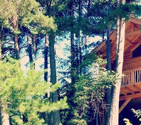Les Cabanes Des Pins Sylvestres Сен-Мартен-Везюбі Екстер'єр фото