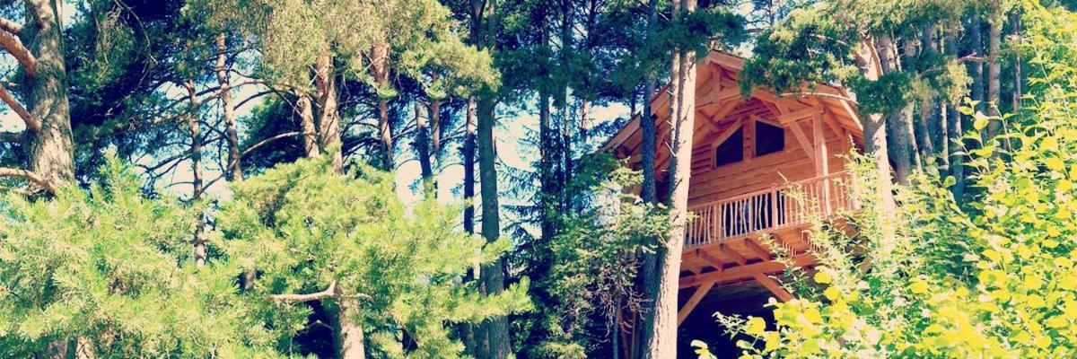 Les Cabanes Des Pins Sylvestres Сен-Мартен-Везюбі Екстер'єр фото